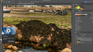 Low-tide landscapes