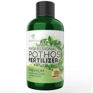 Professional Liquid Pothos Plant Fertilizer