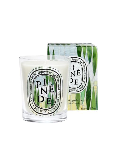 Pin&egrave;de (Pine Grove) Classic Candle
