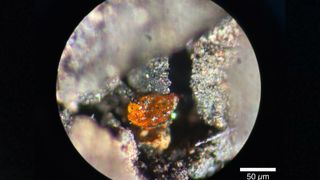 A microscope image showing a small amber chunk among rocks