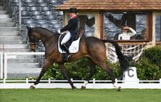 Ros Canter Badminton Thursday dressage leader