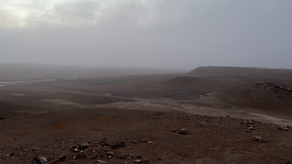 A foggy, barren Arctic landscape.