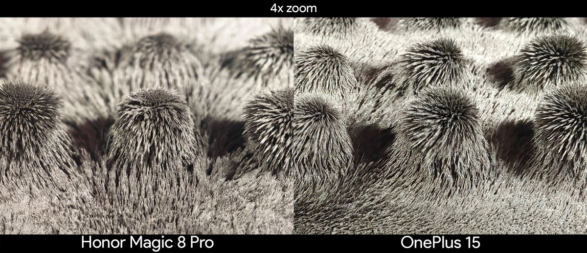 Comparing 4x zoom between the Honor Magic 8 Pro and OnePlus 15 in a science museum