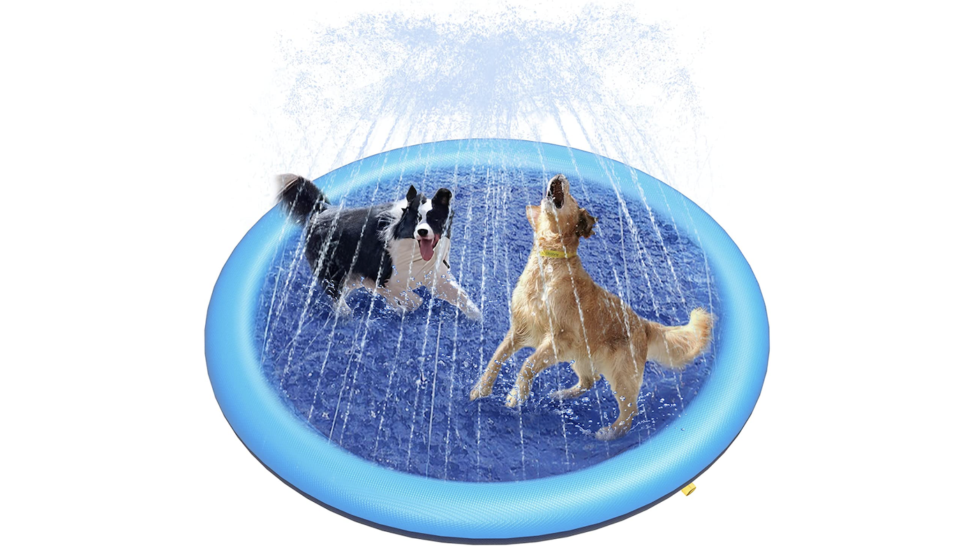 Two dogs playing in sprinkler pool