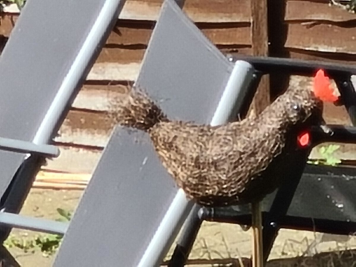 30x zoom on the Samsung Galaxy S20 Plus