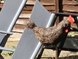 30x zoom on the Samsung Galaxy S20 Plus