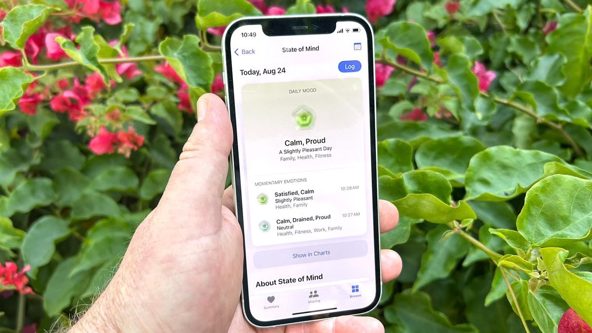 how to log your mood in iOS 17 Health app on iPhone