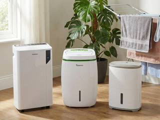 Three of the best dehumidifiers in front of a plant and clothes horse