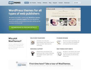 WooThemes was created to improve the way we built websites for our clients