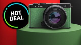 Panasonic Lumix S9 in olive green deal