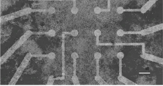 Silver Nanowire depictions form Nature paper.