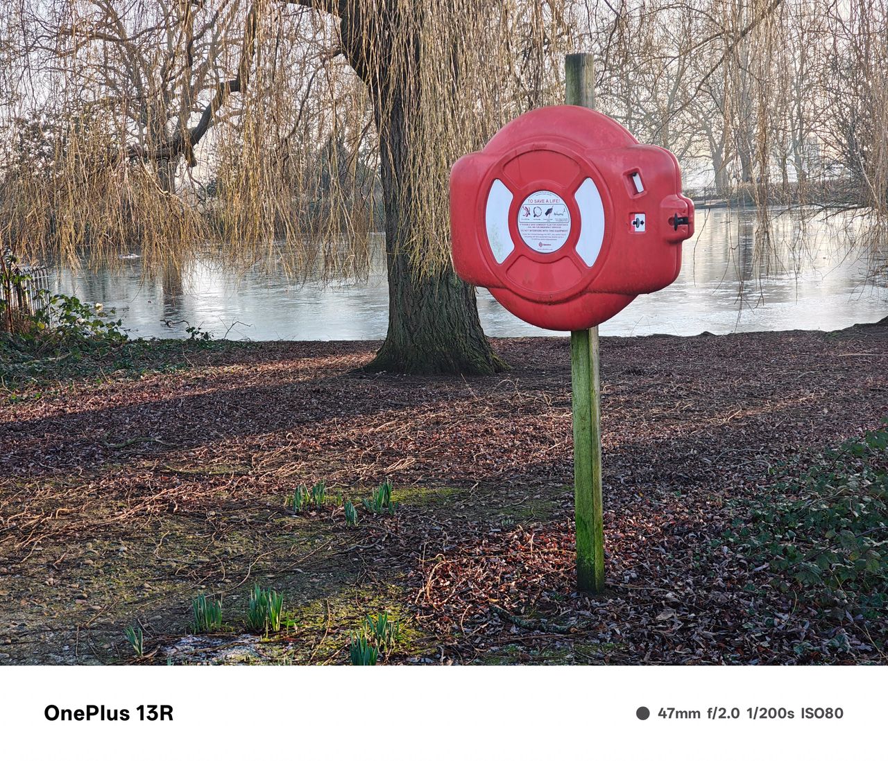 Life ring in front a lake surrounded by trees with no leaves