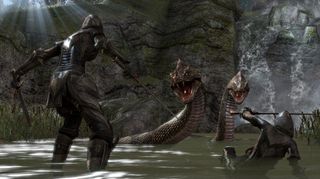 The Elder Scrolls Online just pretend those snakes are bugs
