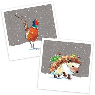 Pheasant Walk/Mr Prickles, for Woodland Trust