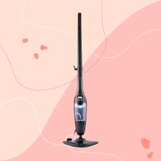 Lakeland 2-in-1 steam mop on a pink background