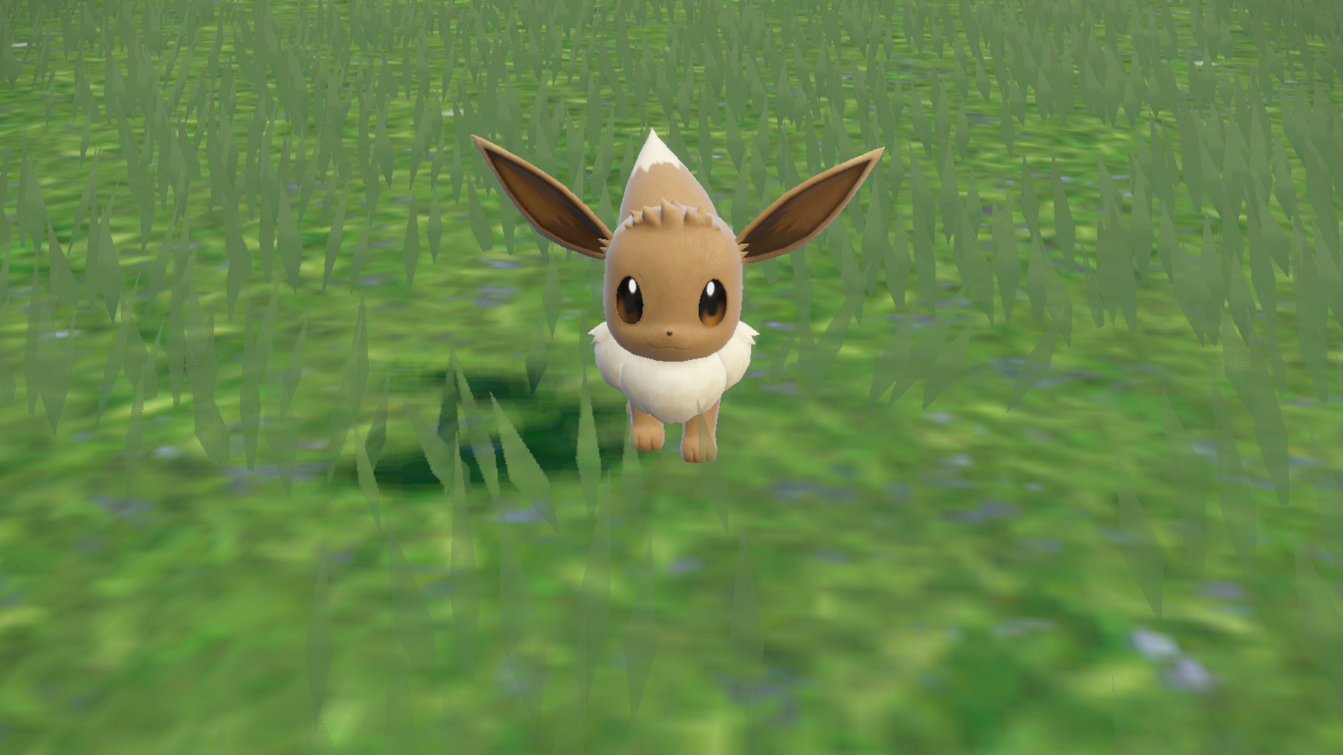 How to get Eevee in Pokémon Scarlet and Violet