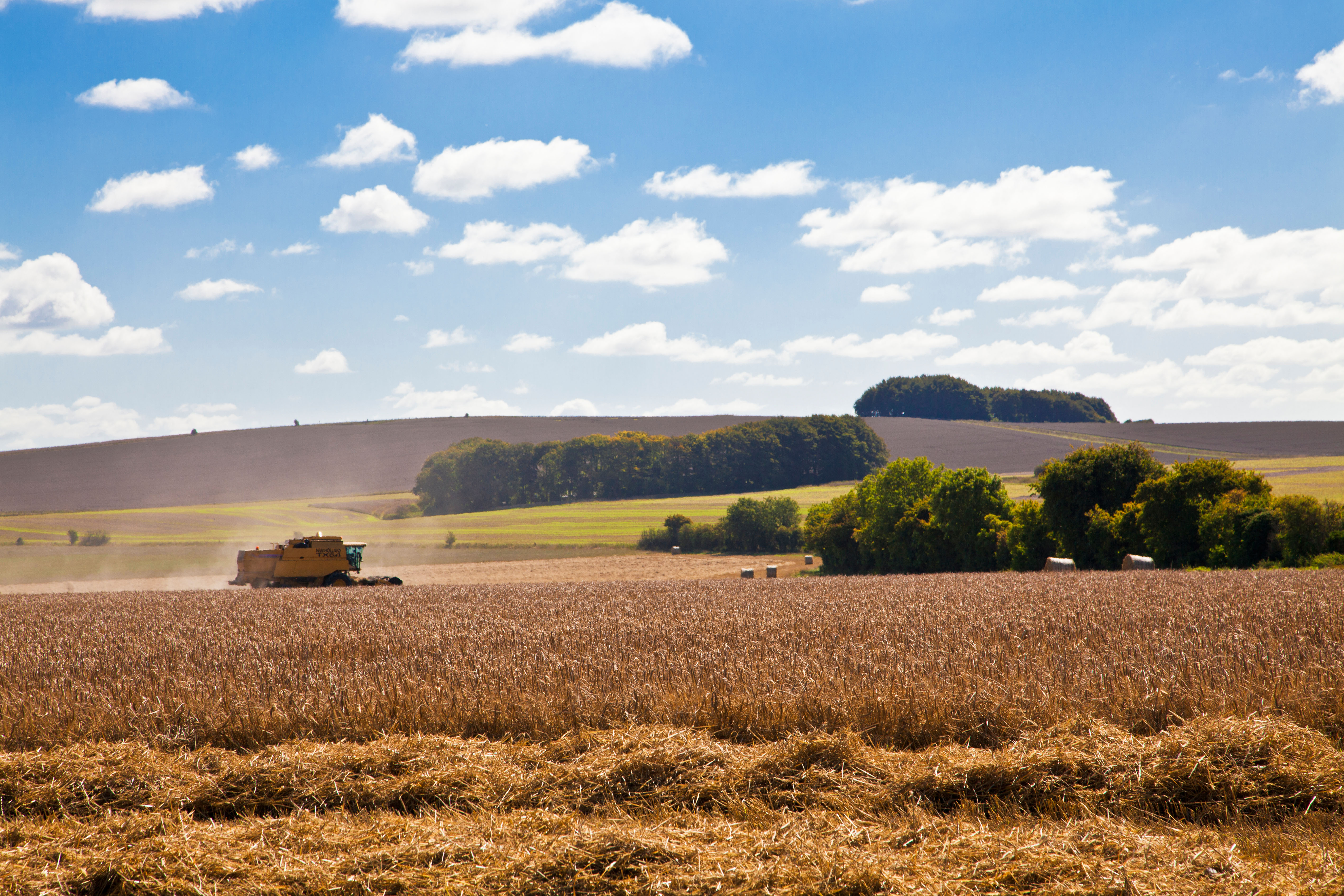 A combine harvester drifts through a field