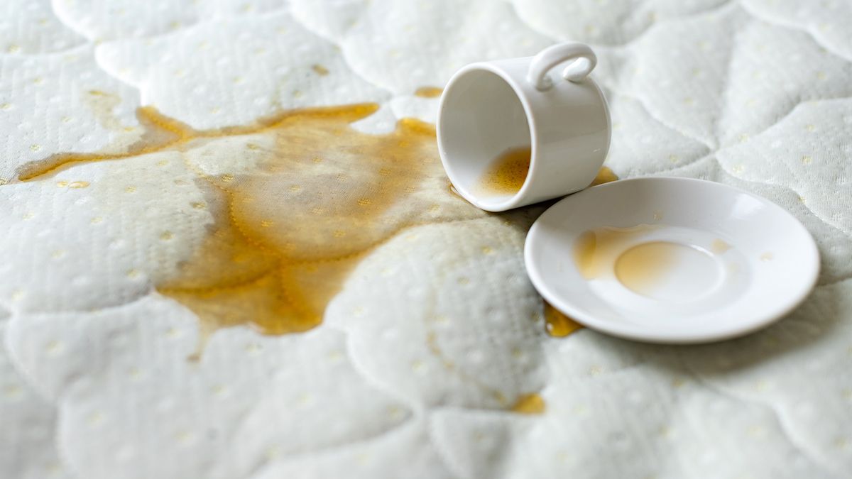 How to clean a mattress and get rid of bed bugs, urine and stains