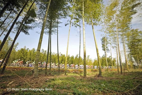The peloton travel through the Bamboo Forest
