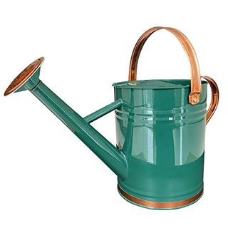 Sunnytong Metal Watering Can for Outdoor and Indoor Plants, Watering Can Decor, 1 Gallon (1 Gallon Green2)