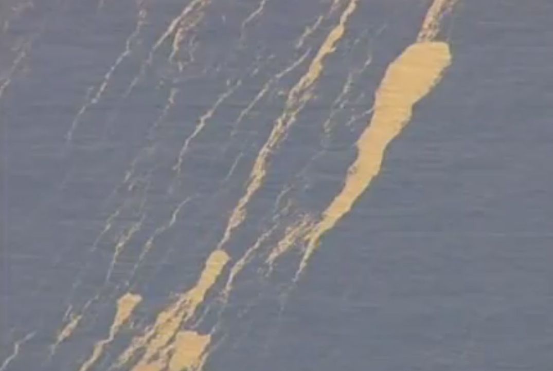 A huge pumice float was spotted off the coast of New Zealand.