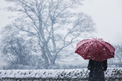 Woman sheltering under umbrella in a snow storm
