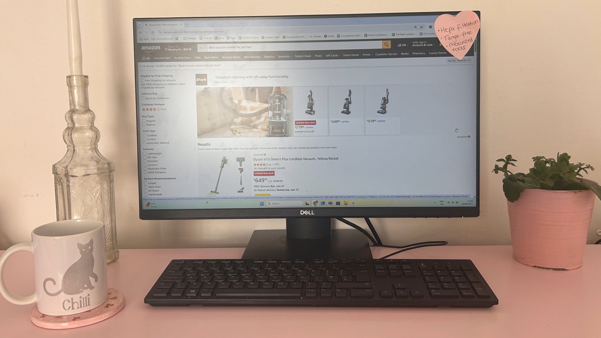 Megan's monitor showing Amazon search results for pet vacuums next to a candle holder, plant pot and mug with her cat Chilli's name on it