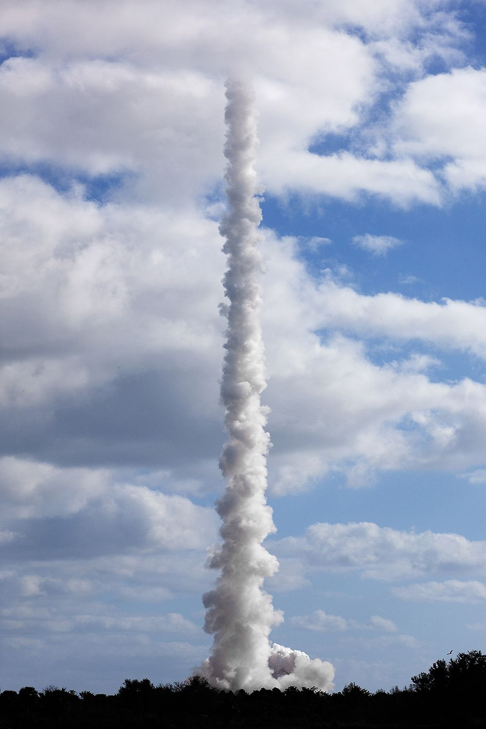 Mars Rover Curiosity Launch, Cape Canaveral, Florida, 2011