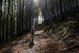 woman walking on a woodland trail in the Carpathian mountains