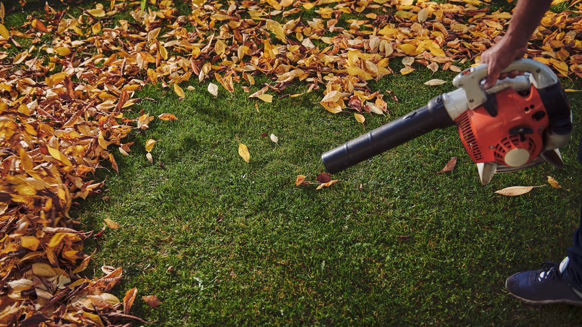 How to use a leaf blower the right way — 7 top tips for cleaning your