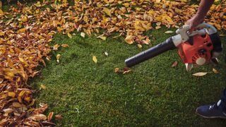 Blowing leaves into centre of lawn