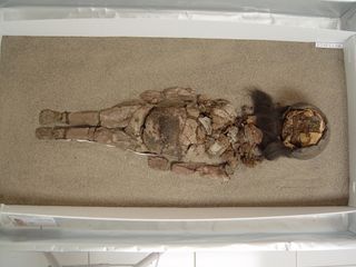 The disintegrating body of a Chinchorro mummy at San Miguel de Azapa Museum in Arica, Chile.