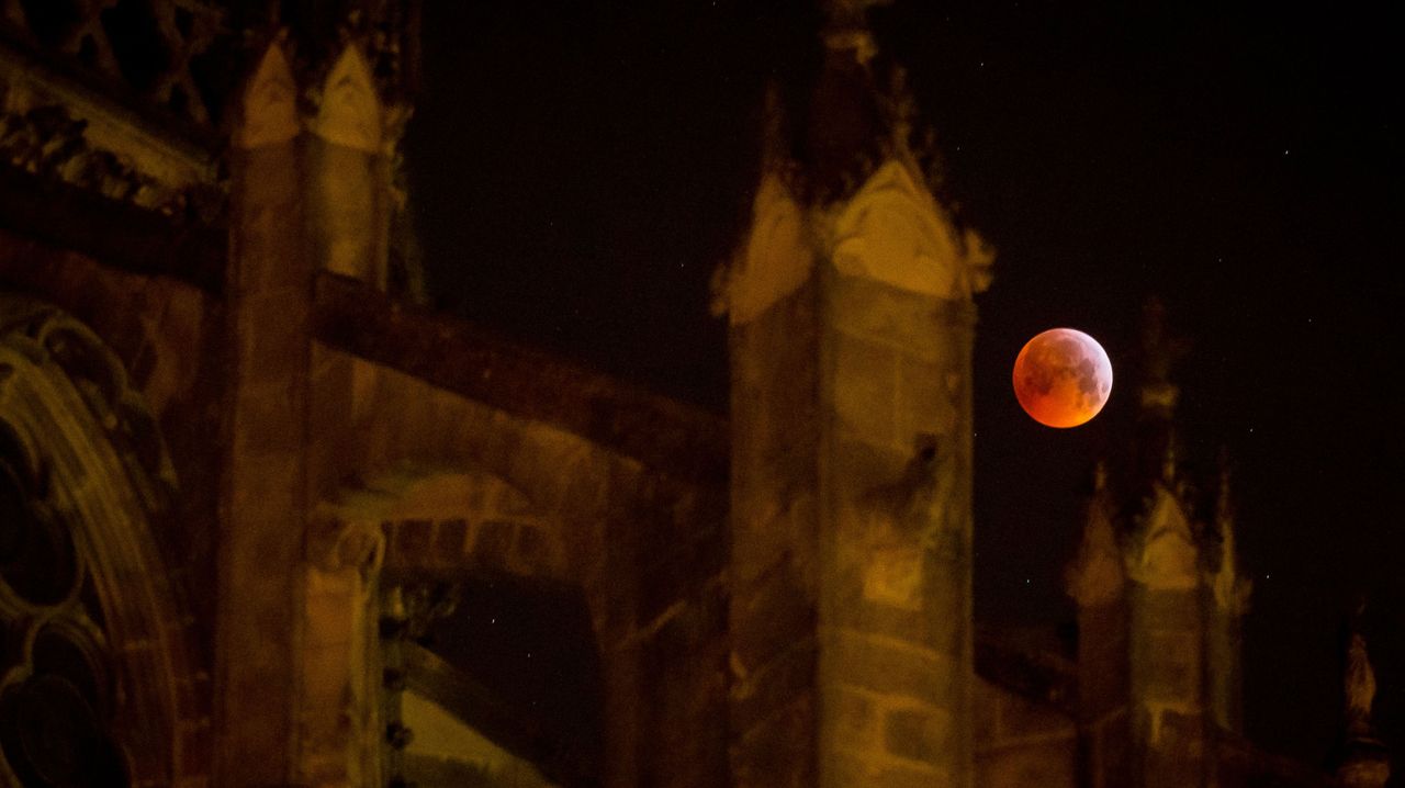 Super blood wolf moon