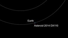 Asteroid 2014 DX110