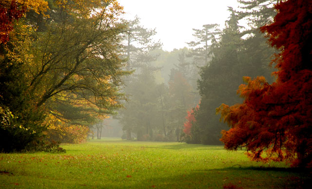 Best autumn gardens to visit UK