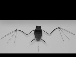 The latest micro air vehicle - a robotic bat