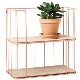 pink wall shelf with plant pot