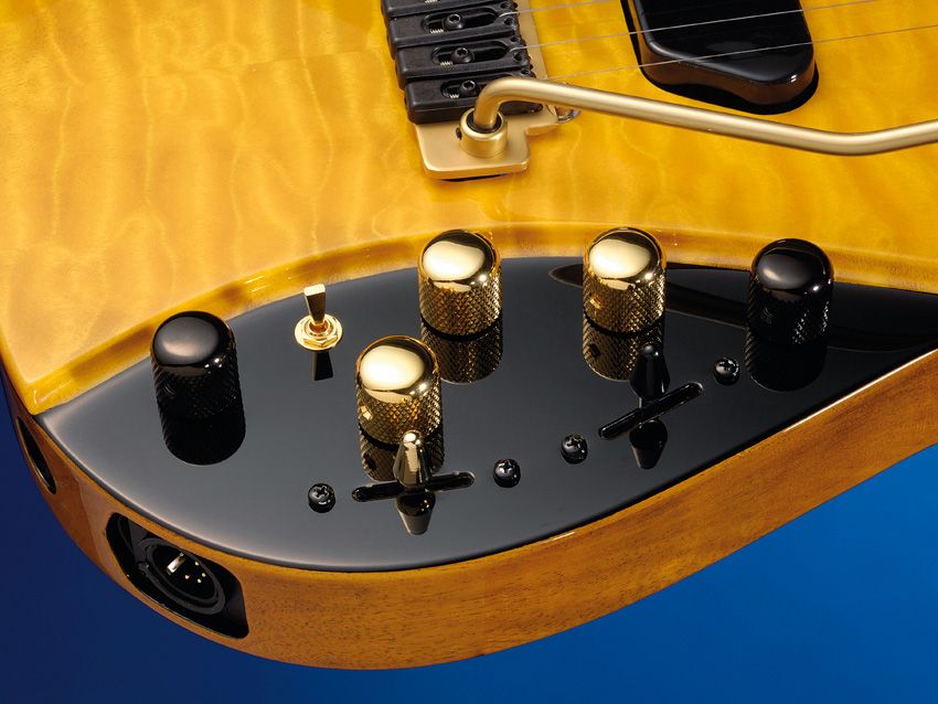 The 'special' controls are distinguished by gold hardware