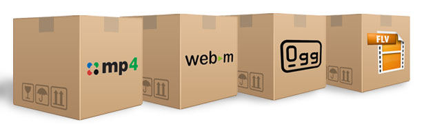 HTML5 and Flash video containers