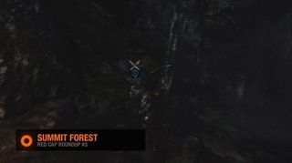 Tomb Raider Summit Forest Mushroom #3