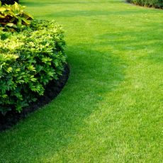 Beautifully manicured lawn and bushes