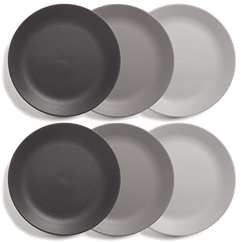 Acrylic 10-Inch Dinner Plates (Set of 6)