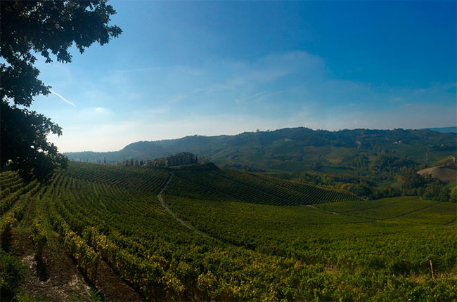 Piedmont wineries