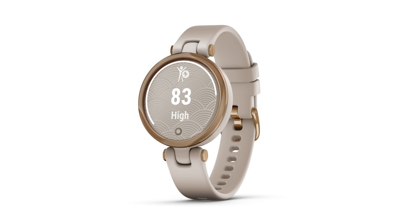 Garmin Lily price release date