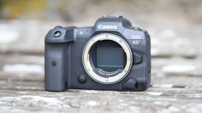 Canon EOS R5 vs R6: What are the differences and which is best for you