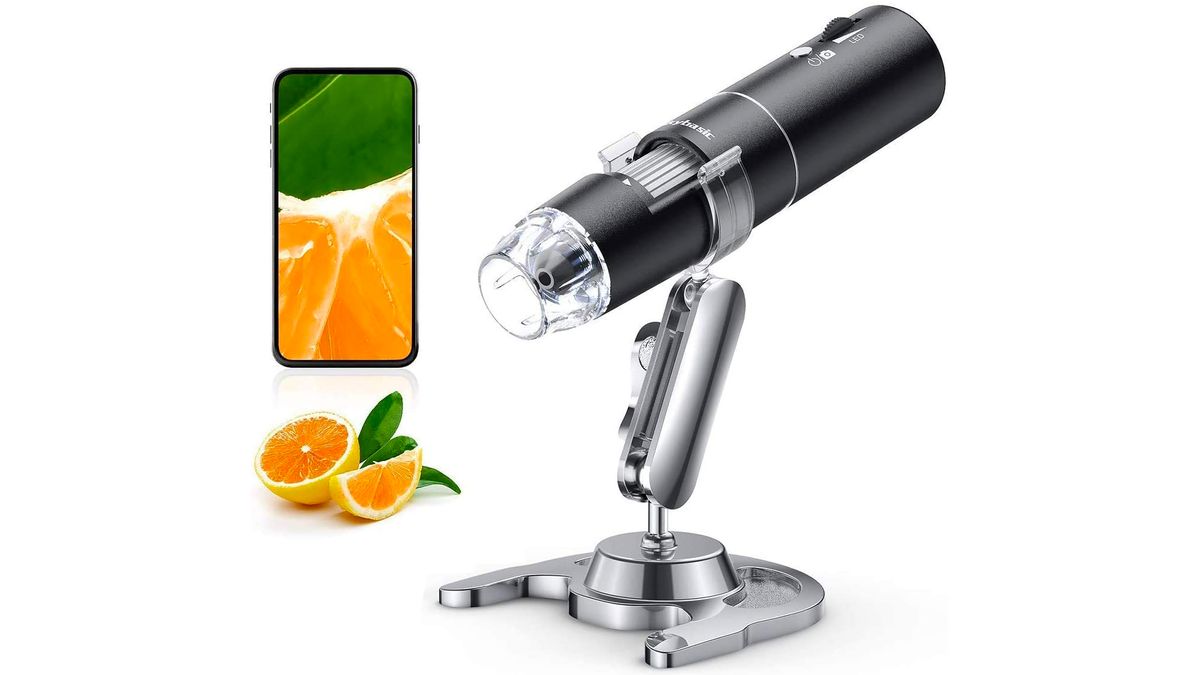 Best Microscopes For Kids 2024 | Live Science