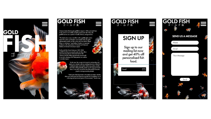 website mockups
