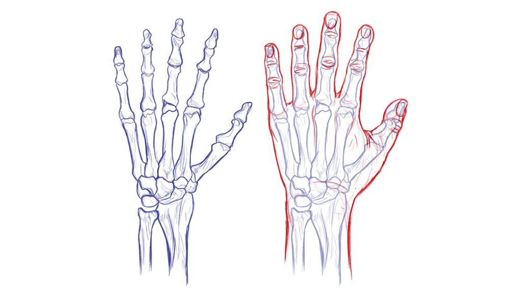 How To Draw Hands Creative Bloq