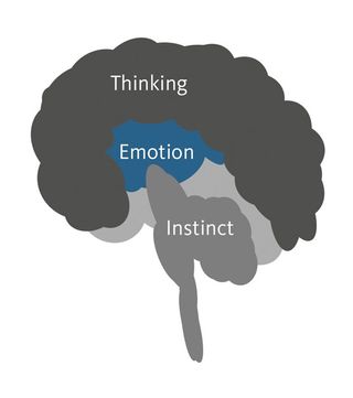 Three parts for thinking, emotion and instinct