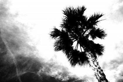 Pentax K-S2 sample image